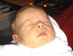 Alex van der Kroft