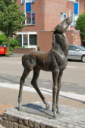 Veulen in Maassluis