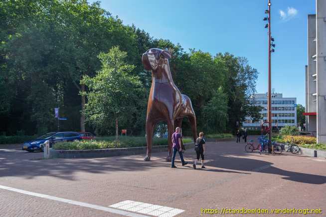 Assen -  Mannes