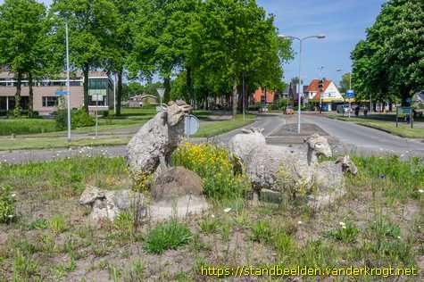 Beilen -  Vijf Drentse Heideschapen