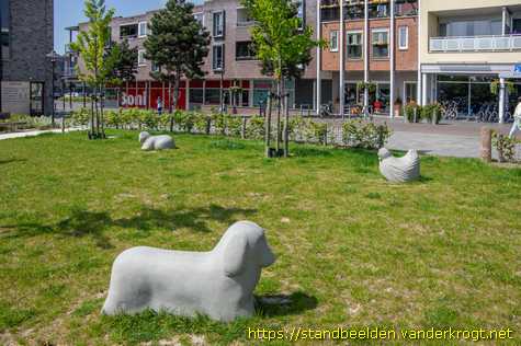 Zeewolde -  Kat, kip en hond