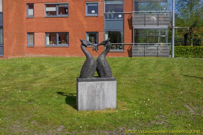 Drachten -  Pinguindans (Twee Futen)