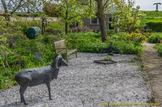 Oost-Vlieland - Moeflon, schol en aalscholver