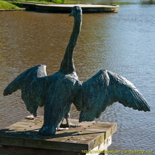 Barneveld -  Knobbelzwaan