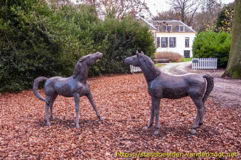 Beesd -  Twee jonge paarden