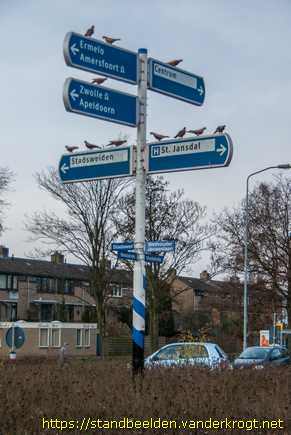 Harderwijk -  Duiven van St Jansdal