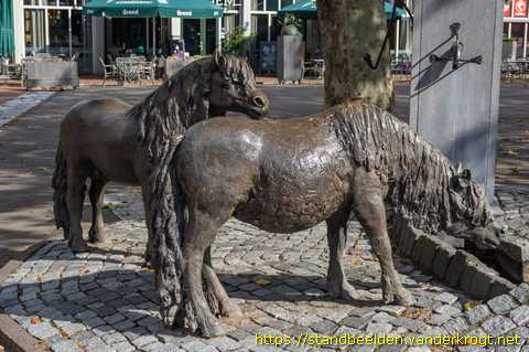 Bemmel - Twee Shetlandpony's