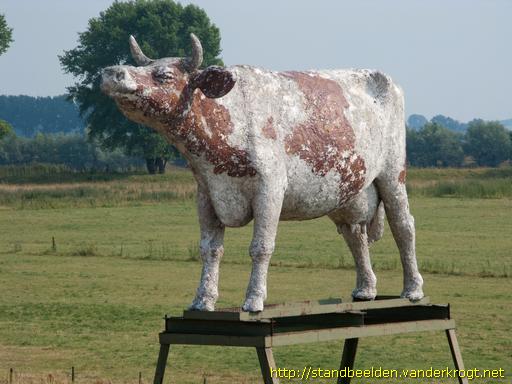 Heesselt -  Roodbont