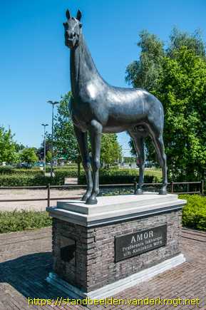 Heelweg -  Fokhengst Amor