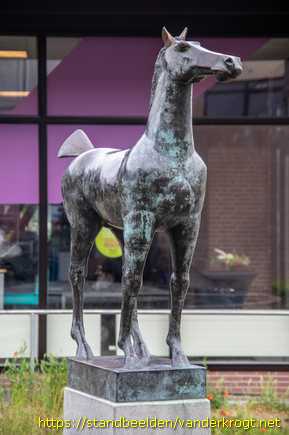 Dieren -  Paard