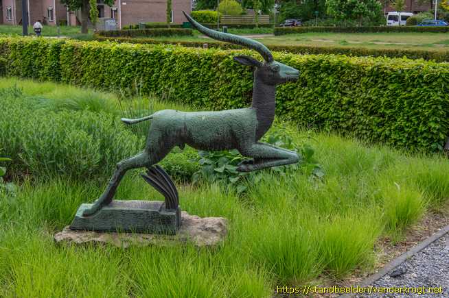 Dieren -  Gazelle