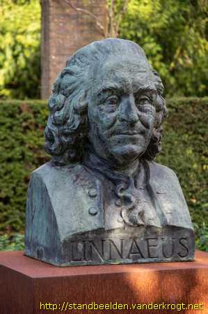 Wageningen -  Carolus Linnaeus
