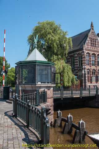 Groningen -  Meeuw