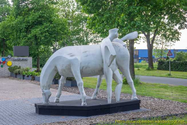 Veendam -  Peerd van ome Loeks