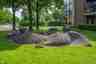 Agrarische dieren