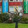 Vogels