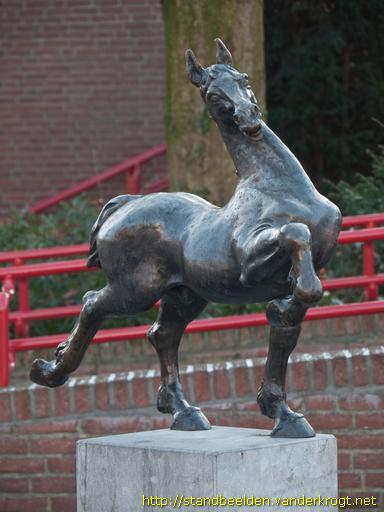 Weert -  Paard