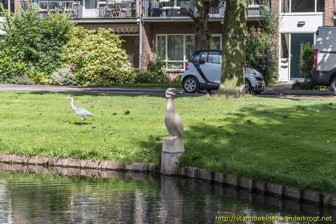 Amstelveen -  Aalscholver