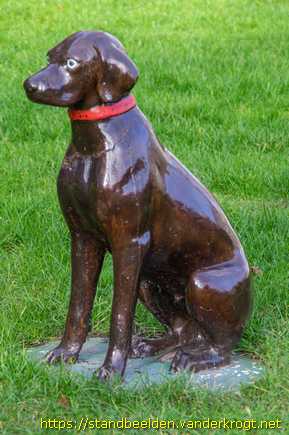 Amstelveen -  Hond