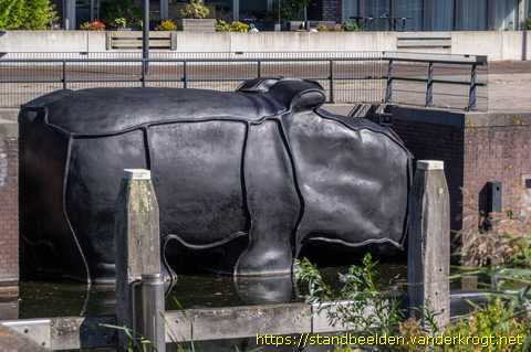 Amsterdam -  Rhino