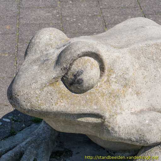 Beverwijk -  Kikker