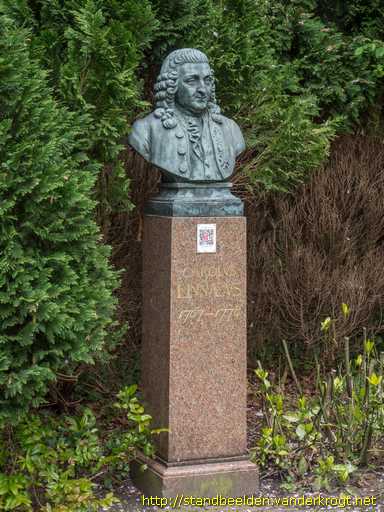Heemstede -  Carolus Linnaeus