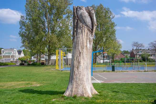 Hilversum -  Uil in boom
