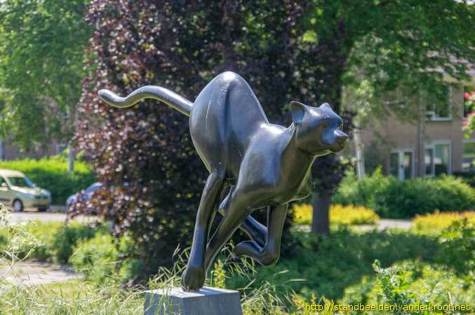 Grootebroek - Cheeta in volle ren