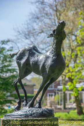 Koog aan de Zaan - Veulen