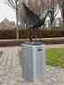 Opvliegende reiger
