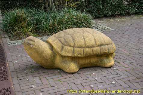 Borne -  Schildpad