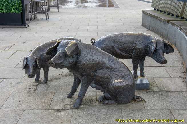 Holten - Varkens