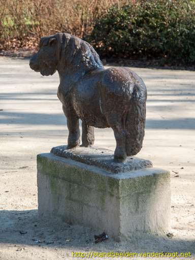 Zwolle -  Pony