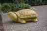 Schildpad