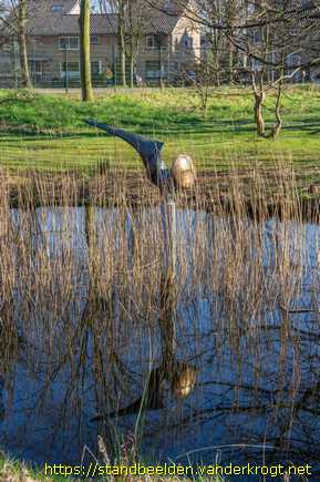 Baarn -  Pelicanos