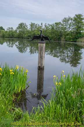 Tienhoven -  Aalscholver