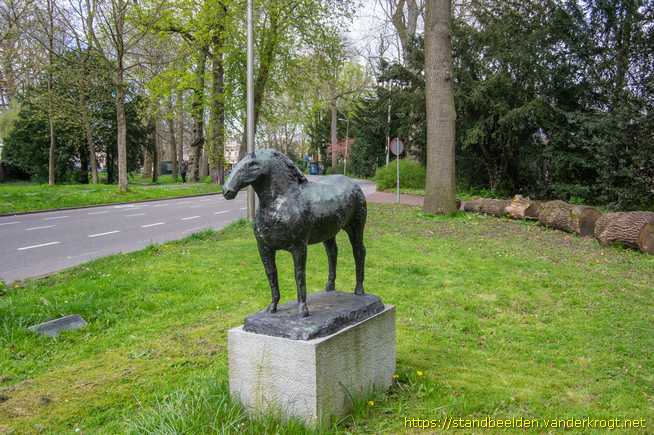 Utrecht -  Koudbloedpaard