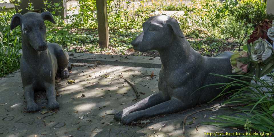 Utrecht -  Twee honden