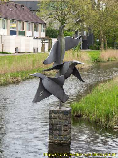Middelburg -  Opvliegende vogels