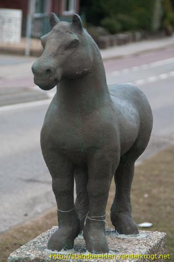 Axel -  Zeeuws Paard