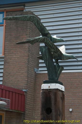 Terneuzen -  Vogels