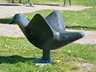 Vogel