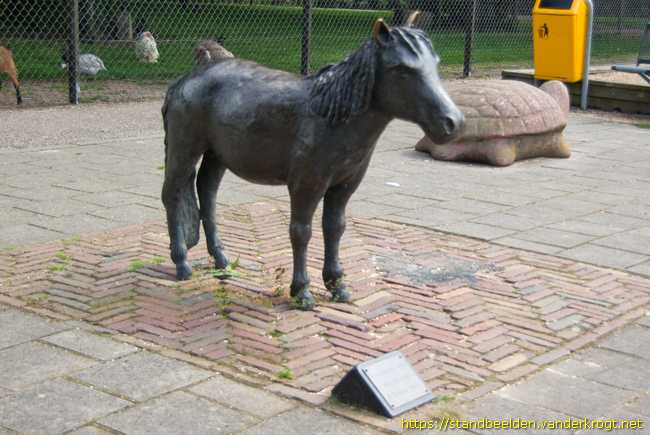 Alblasserdam -  Pony