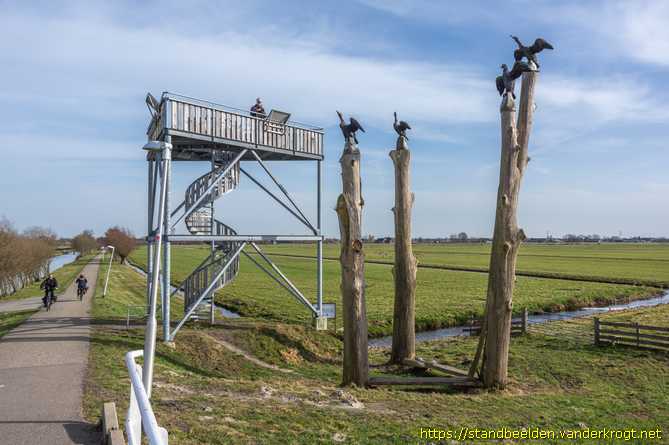 Driebruggen -  Aalscholvers