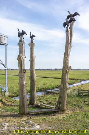 Driebruggen -  Aalscholvers