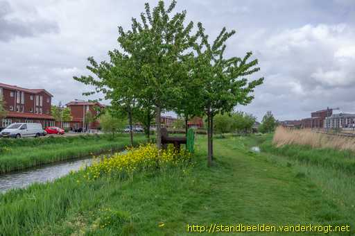Den Haag -  Dendrologische dressuur