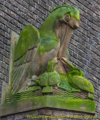 Den Haag - Pelikaan