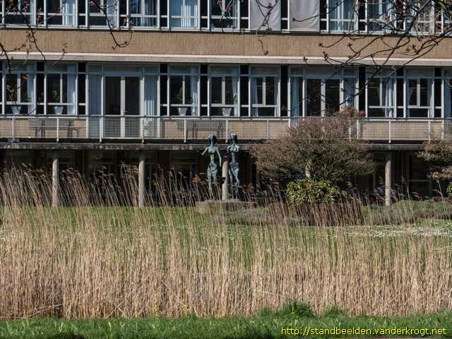 Den Haag -  Verplegende en genezende