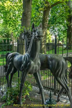 Dordrecht - De paarden van Harrie Hartogs