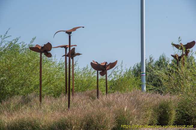 Hellevoetsluis -  Vogels